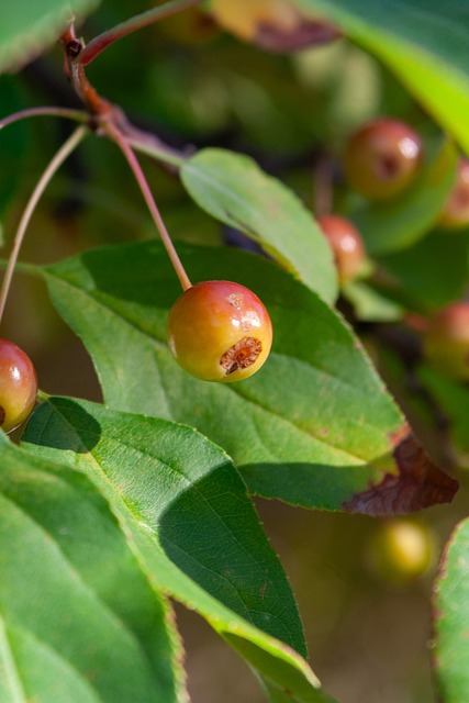 前景展望 前景展望