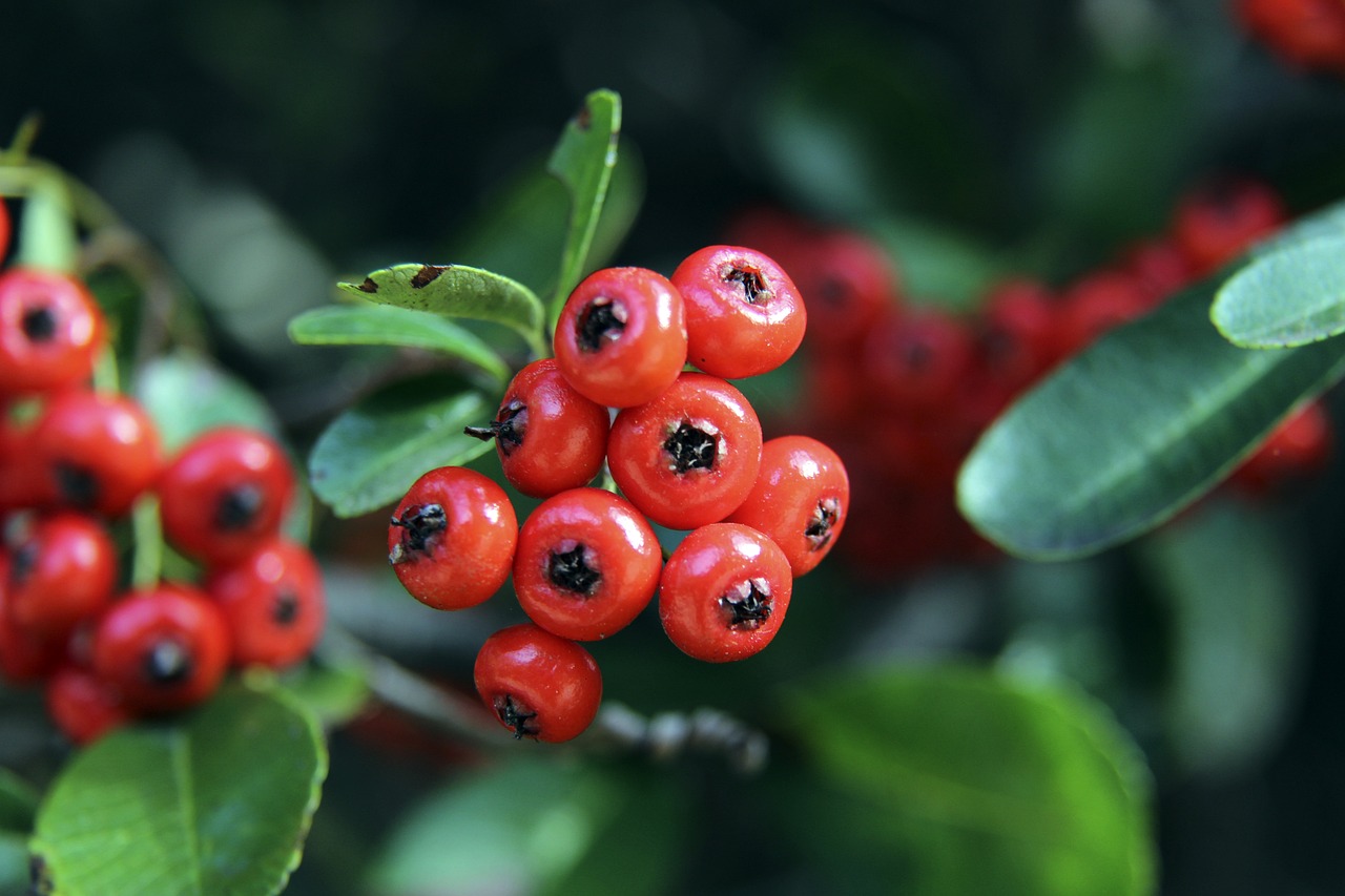 从他们手中 从他们手中